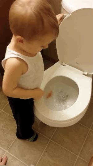 potty dance gif|poop the potty gif.